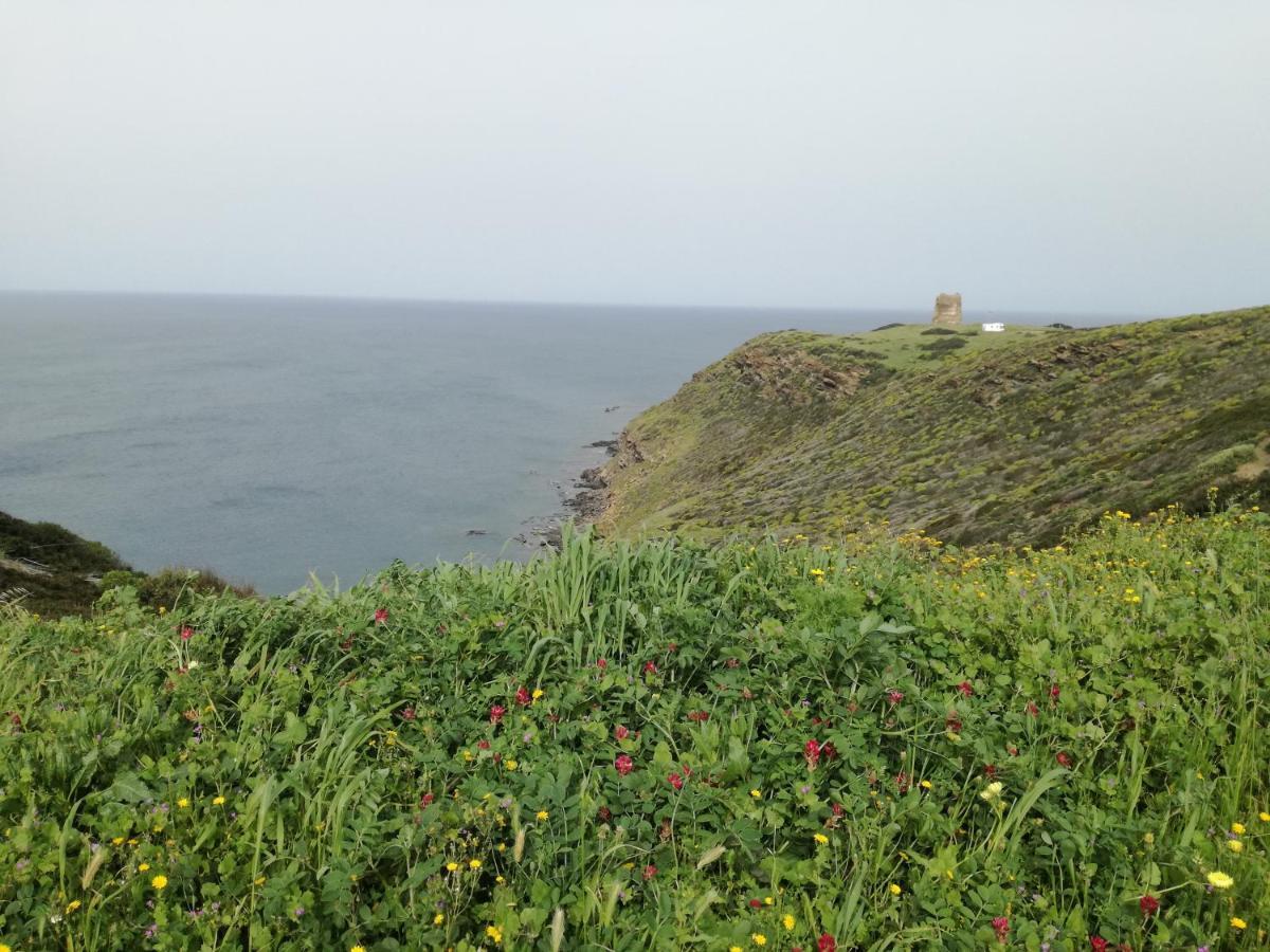 La Calla Bianca Torre dei Corsari Buitenkant foto